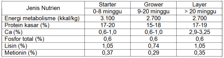 Pakan Bebek Petelur : Agar Cepat Besar, Fermentasi, Takaran